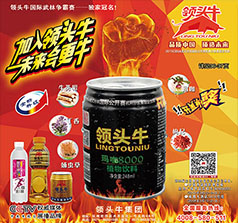 領(lǐng)頭牛集團(tuán)