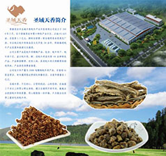 香格里拉圣域天香牦牛產(chǎn)業(yè)開發(fā)有限公司