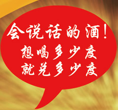 安徽中皖酒業(yè)