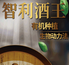 深圳市紅晟實(shí)業(yè)