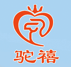 �½��������Ƽ�