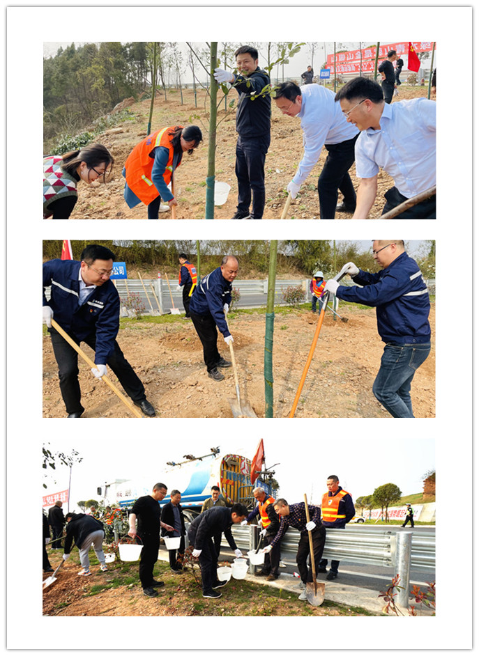 圖片3.png 圖片3.png